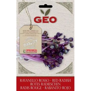 bustina di germogli di ravanello rosso