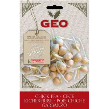 bustina di germogli di ceci