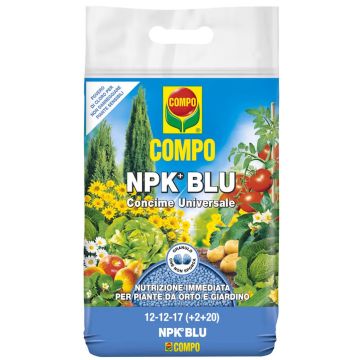 COMPO BLU - 56444-
