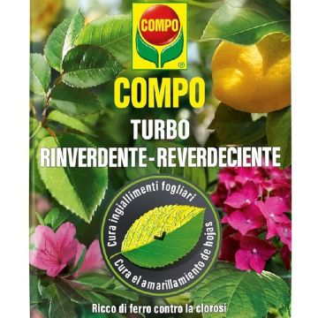 COMPO TURBO RINVERDENTE - 52292_