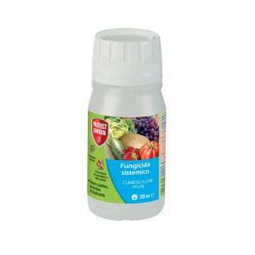 CUMETA FLOW PFnPE - 51127-
