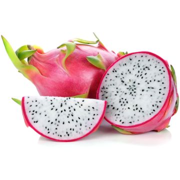 PITAYA POLPA BIANCA - 9FE08-