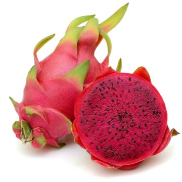 PITAYA POLPA ROSSA - 9FE09-