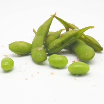 SOIA EDAMAME - 1781