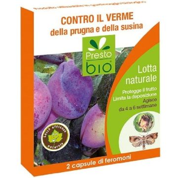 feromoni verme prugna