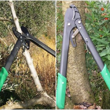 FORBICIONE A CRICCHETTO - 53334-