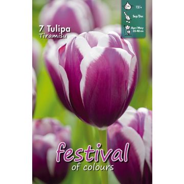 Confezione di bulbi di tulipano Triumph in vendita online