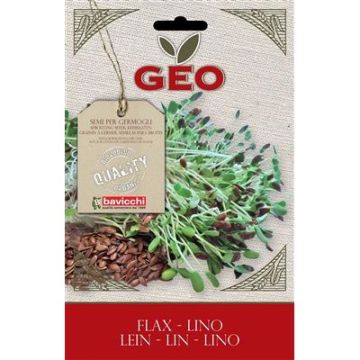 bustina di semi germogli di lino