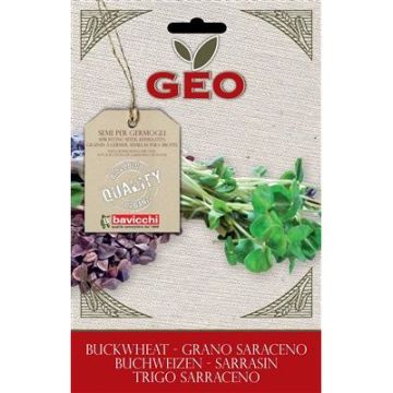 BUSTINA DI GERMOGLI DI GRANO SARACENO