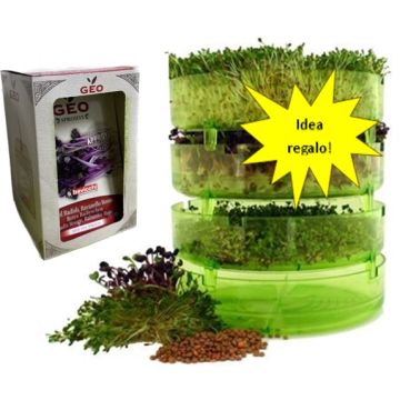 OFFERTA GERMOGLIATORE + 10 GERMOGLI - 56000