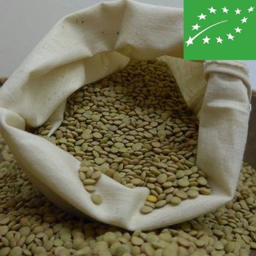 LENTICCHIA COMUNE BIO - 1456/B