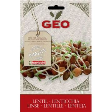 BUSTINA DI GERMOGLI DI LENTICCHIA
