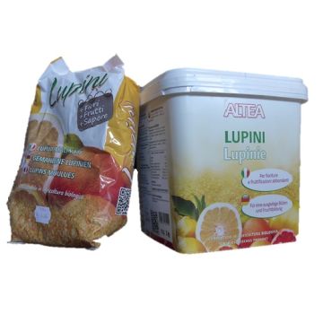 LUPINI MACINATI - 51824/52111