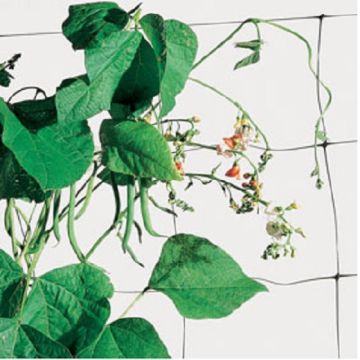 RETE FLORA PER RAMPICANTI - 59370-