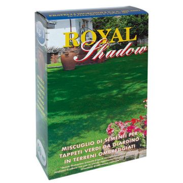 MISCUGLIO ROYAL SHADOW - 3502