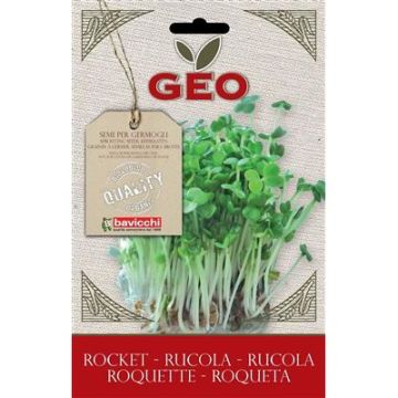 BUSTINA BEIGE DI GERMOGLI