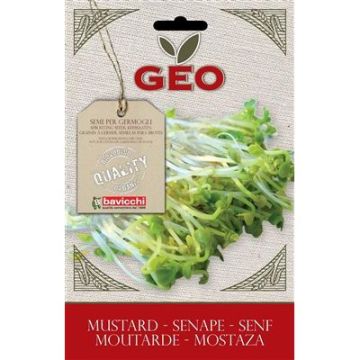 BUSTINA DI GERMOGLI DI SENAPE