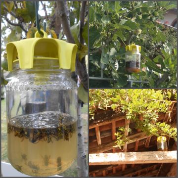 VASO TRAP (il vaso Trappola) - 57866-