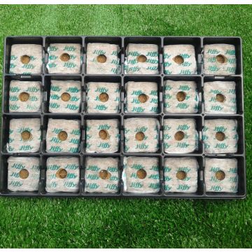 VASSOIO "JIFFY COCCO GROWBLOCK" - 58241-58200-/58500