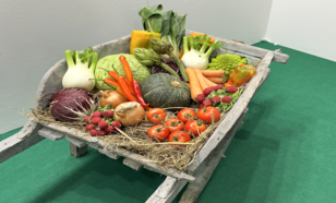 Calendario di semina dell’orto: quando piantare verdure e aromatiche mese per mese