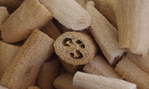 Luffa o Loofah la spugna vegetale